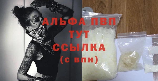 ПСИЛОЦИБИНОВЫЕ ГРИБЫ Сосновый Бор