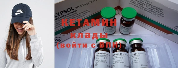 ПСИЛОЦИБИНОВЫЕ ГРИБЫ Сосновый Бор