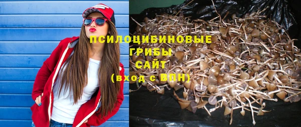 ПСИЛОЦИБИНОВЫЕ ГРИБЫ Сосновый Бор