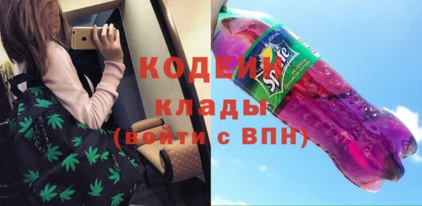 ПСИЛОЦИБИНОВЫЕ ГРИБЫ Сосновый Бор