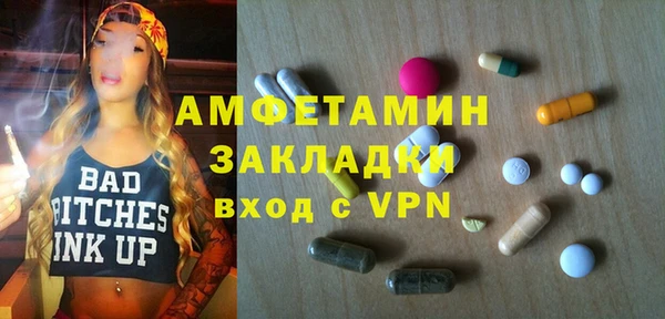 ПСИЛОЦИБИНОВЫЕ ГРИБЫ Сосновый Бор