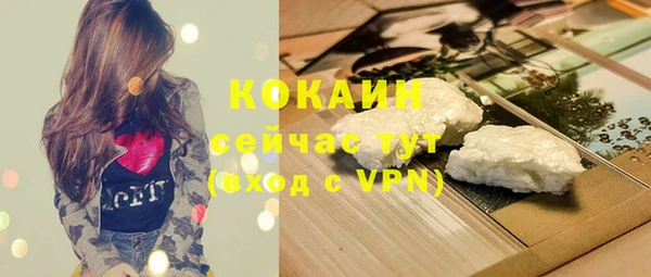 прущие грибы Магадан
