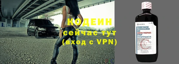 ПСИЛОЦИБИНОВЫЕ ГРИБЫ Сосновый Бор
